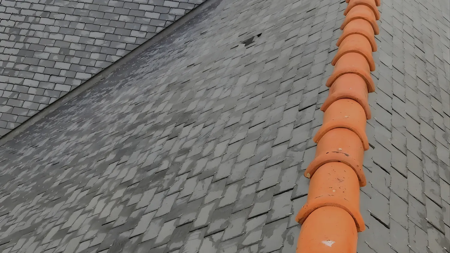 demoussage toiture bourgon