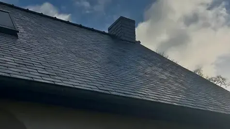 démoussage toiture La Baconnière-5