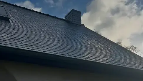 démoussage toiture à Laval - image 2